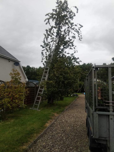 Garden Maintenance 2